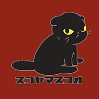 Show profile photo