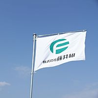 Show profile photo