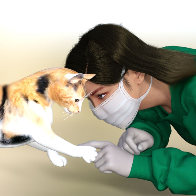 An Image