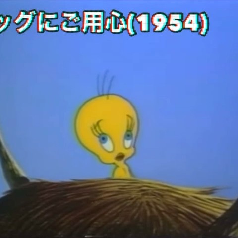 さら