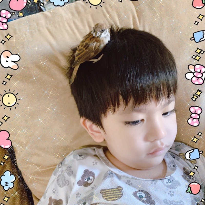 แป้ง