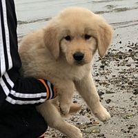 Show profile photo