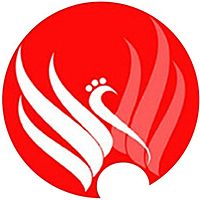 Show profile photo