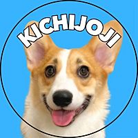 Show profile photo