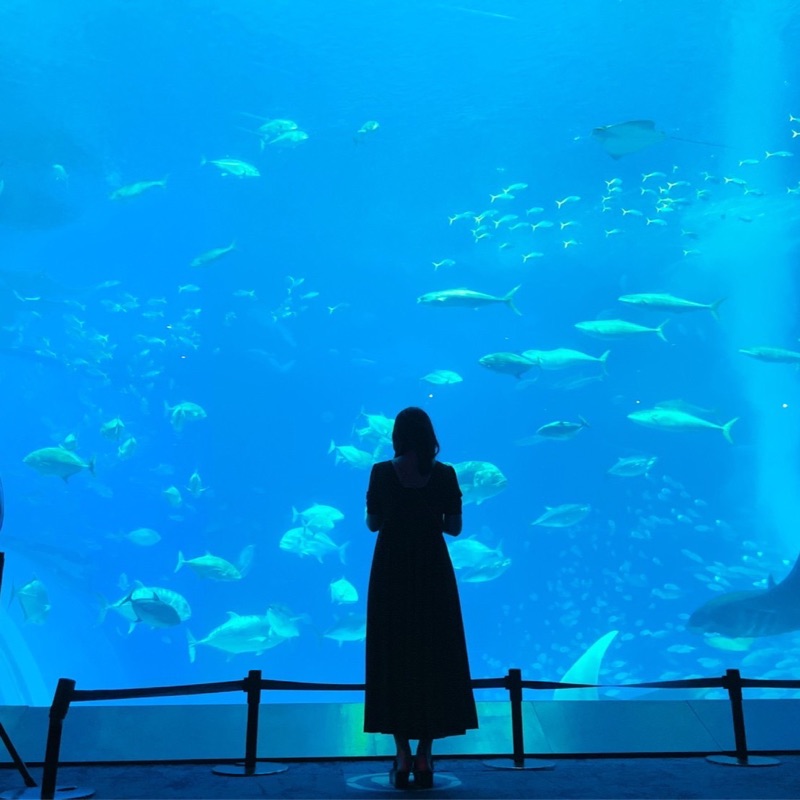 Haru