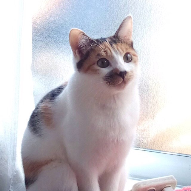 みちよ