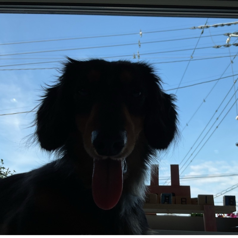 Nao 🐕