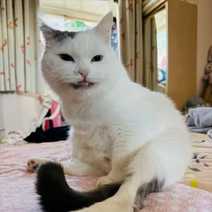 劉**