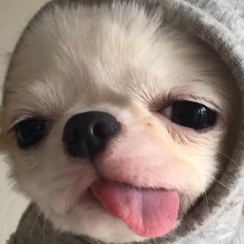 พลอย