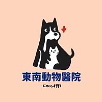 Show profile photo