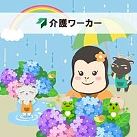 Show profile photo