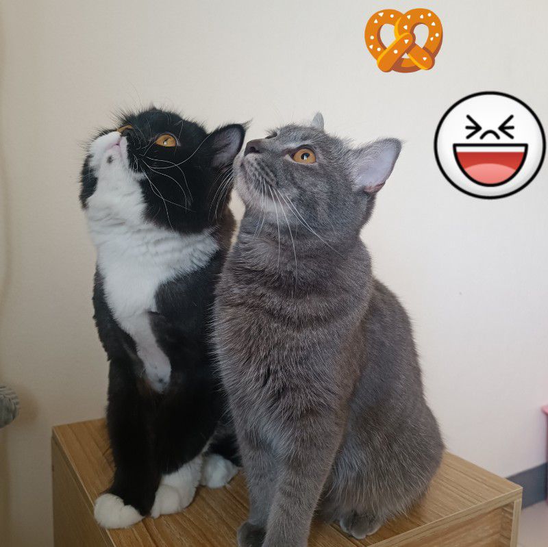 เกว