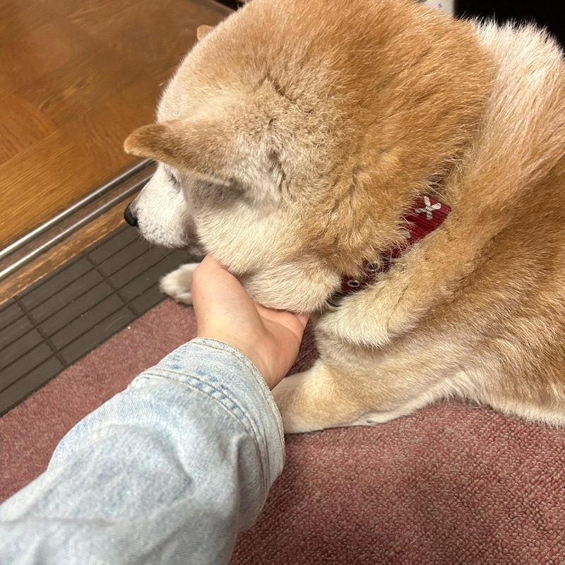 もち