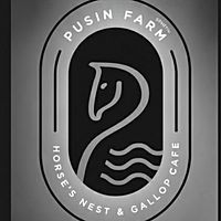 Show profile photo