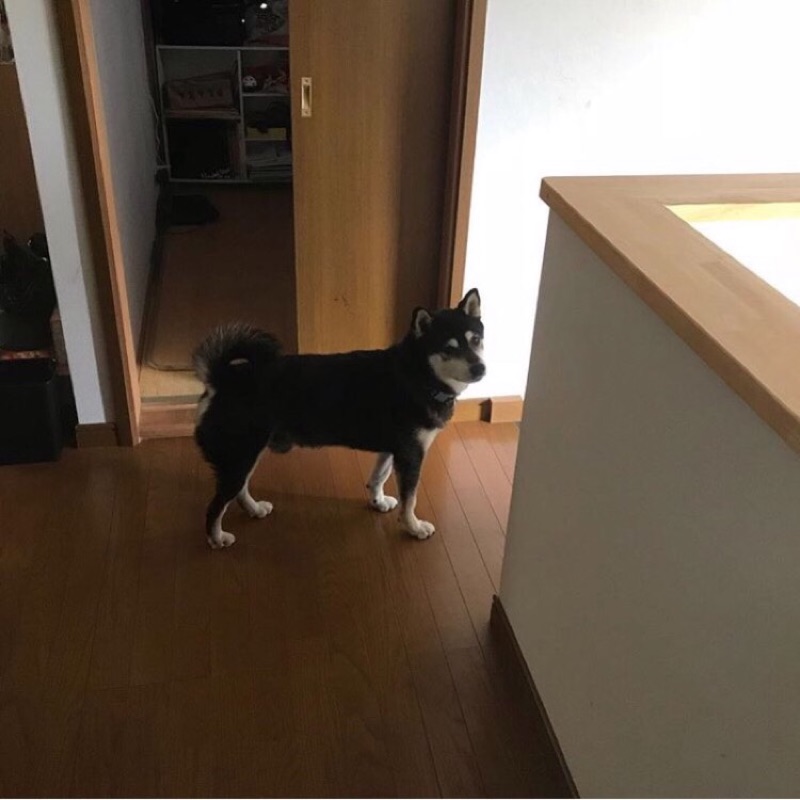 みつぎ