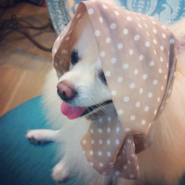 กิ่ง