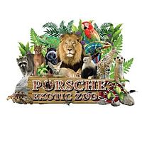 Show profile photo