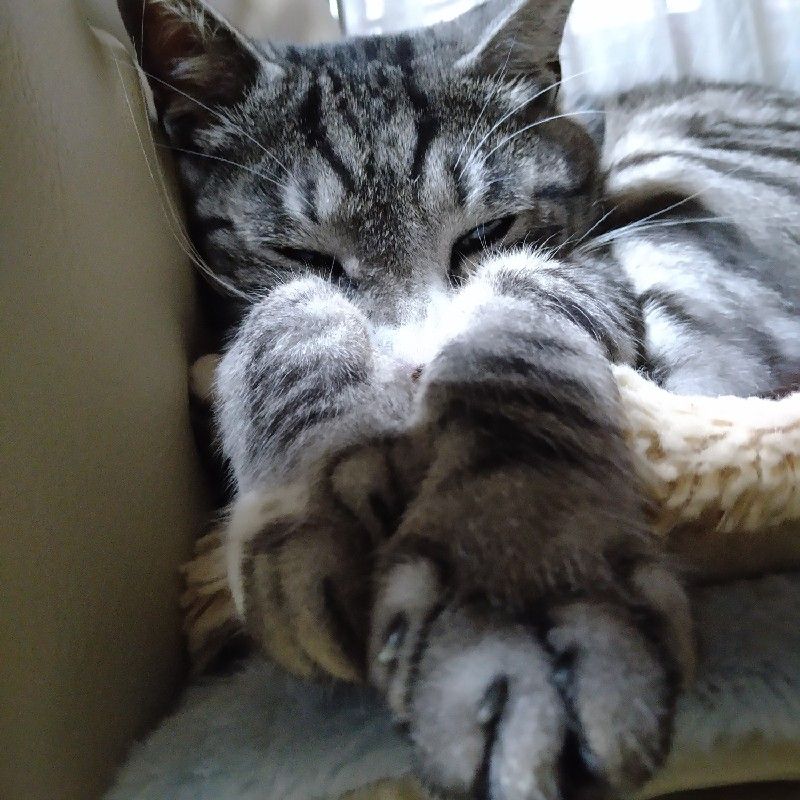 有限会社カザマ