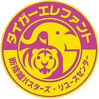 Show profile photo