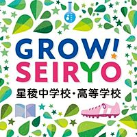 Show profile photo