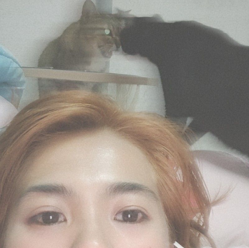 ธิติมา คุ้มกระ