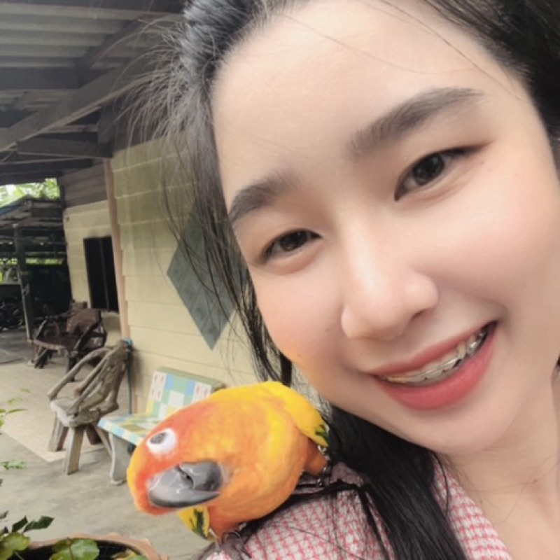 มิ้น