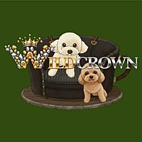Show profile photo