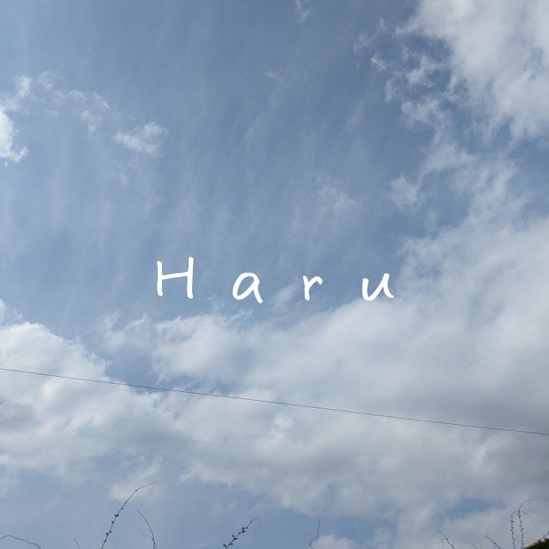 🤍☁️🕊𓂃𝓱𝓪𝓻𝓾𓂃🕊☁️🤍