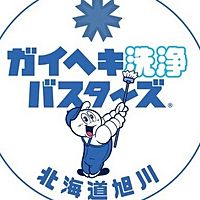 Show profile photo