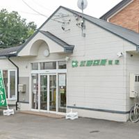 Show profile photo