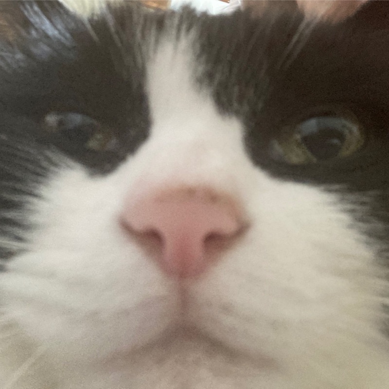 のん