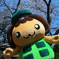 Show profile photo