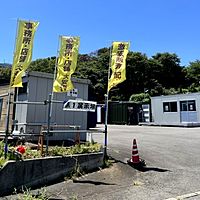 Show profile photo