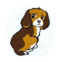 Show profile photo