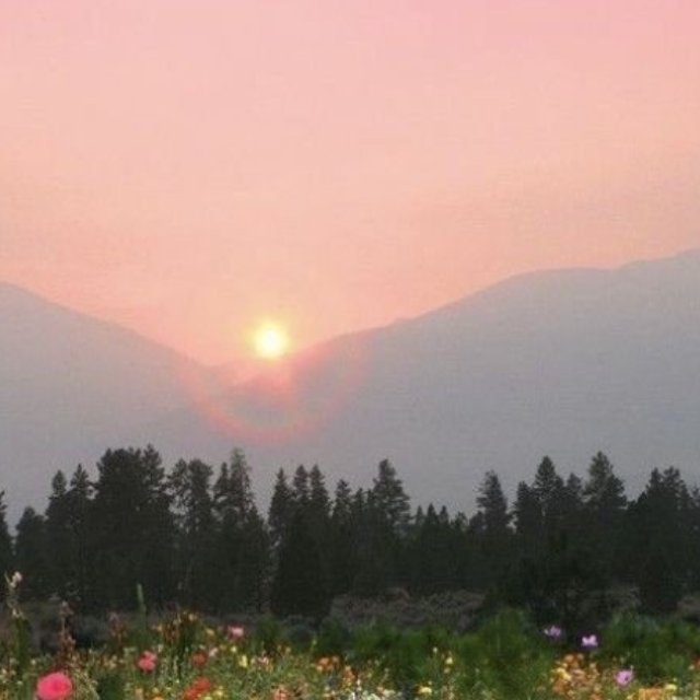 An Image