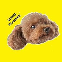 Show profile photo