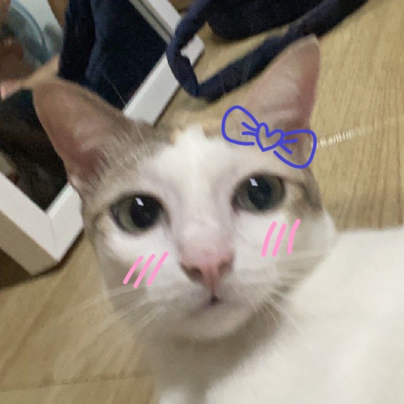 สนุ๊ก​