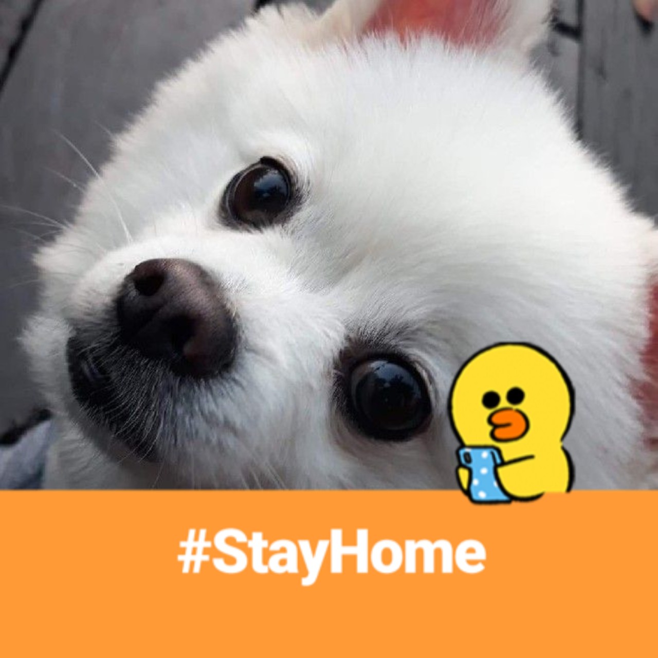 楊佳芸(ง •_•)ง