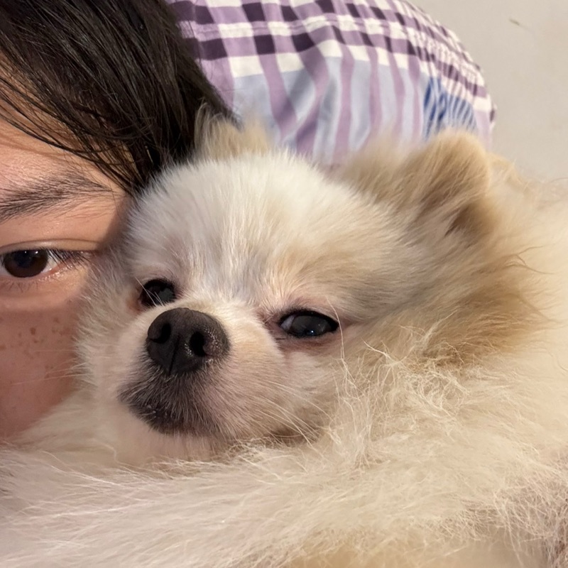 เตเต้