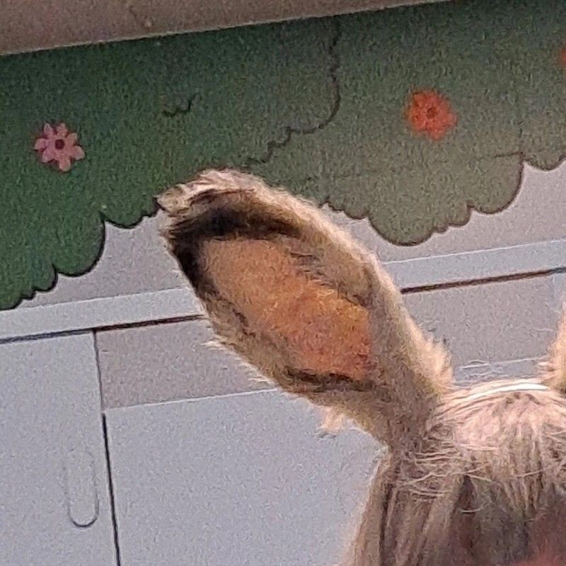 profile