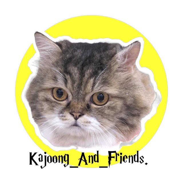 An Image