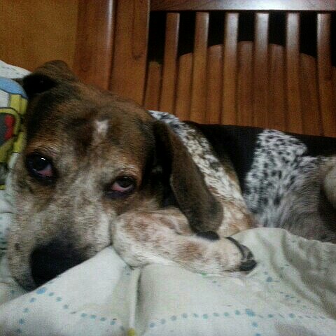 看看Li Fan-Kang的個人專頁