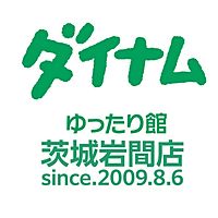 Show profile photo
