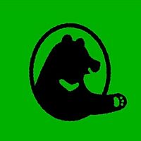 Show profile photo