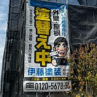 Show profile photo