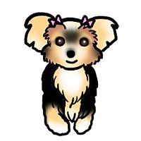 Show profile photo