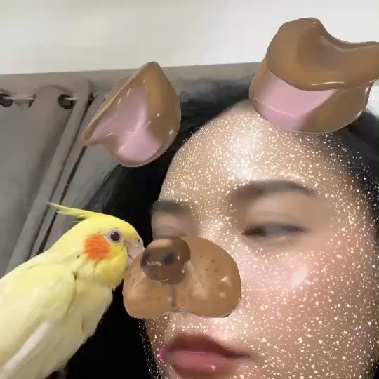 แก้มส้ม