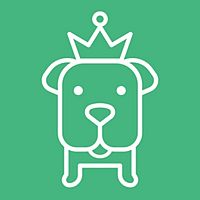 Show profile photo