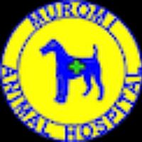 Show profile photo