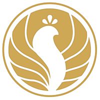 Show profile photo